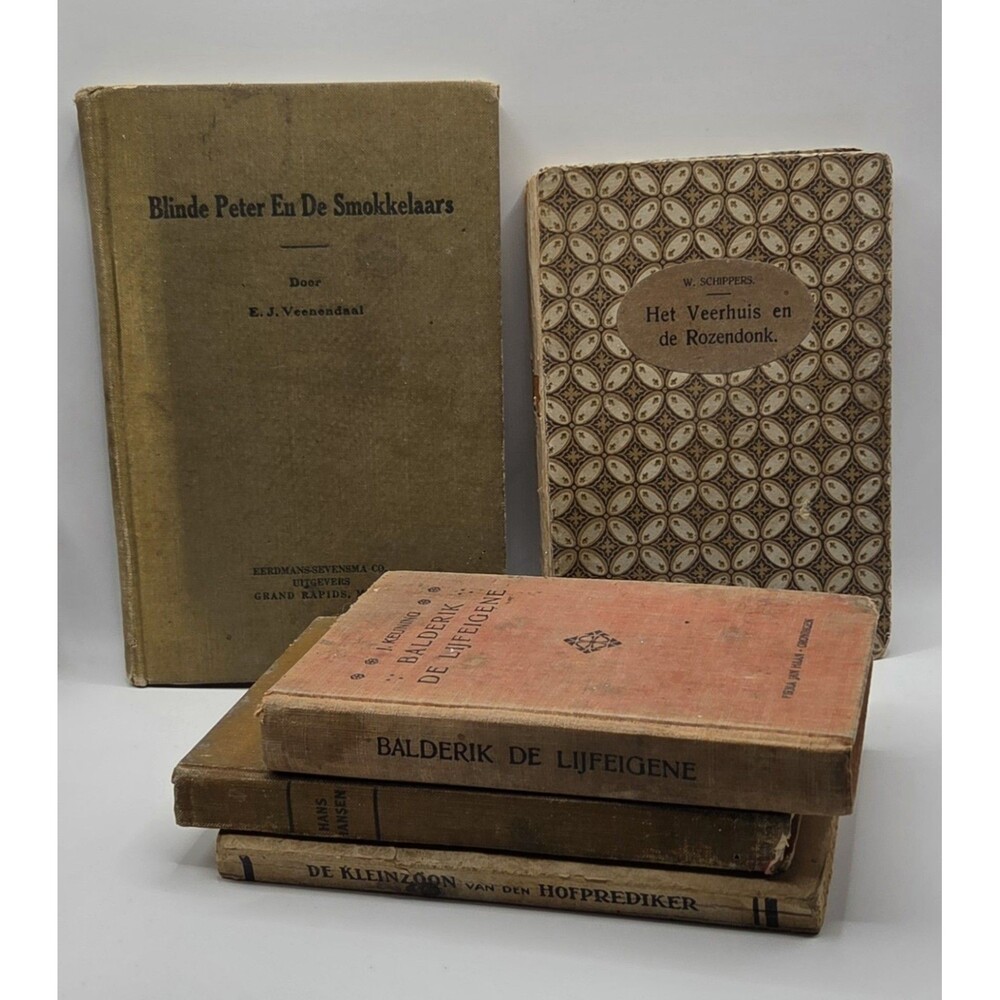 Antique Vintage Lot of 5 Books in Dutch Novels Christian Themes Autobiography